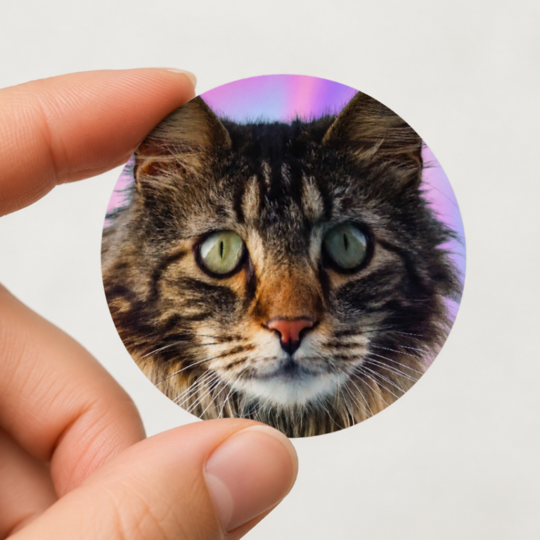 Pegatina personalizada de mascota gato